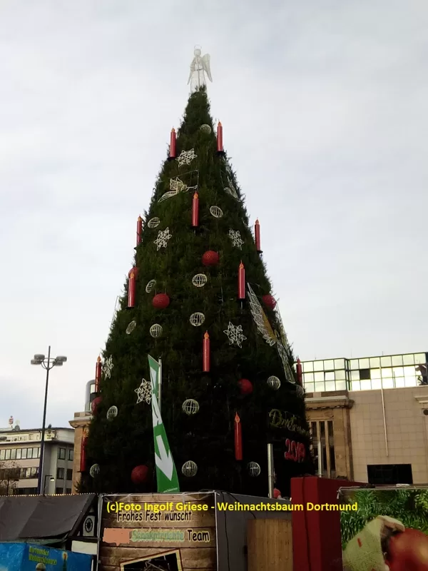 Weihnachtsbaum